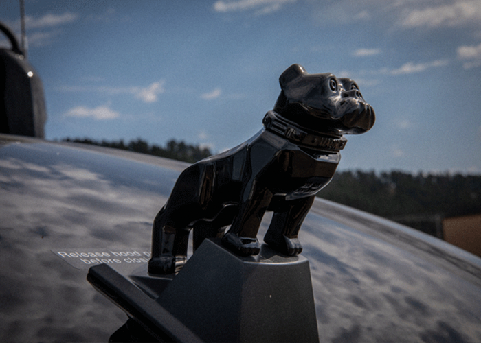 Black bulldog is the best part of the limited edition Mack Anthem