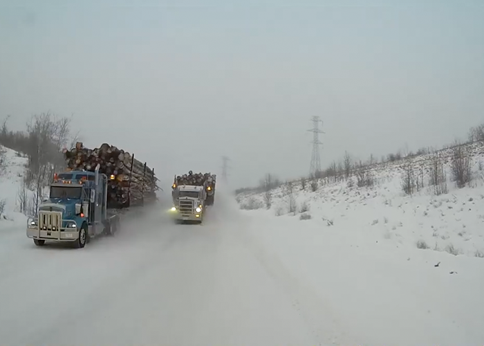 White-knuckle close call with two log trucks caught on dash cam