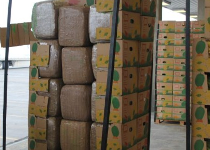 Feds seize nearly $1 million worth of marijuana stashed in banana shipment