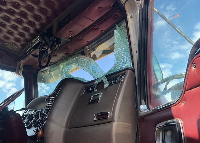 Turkey shatters semi truck windshield, lives to gobble another day