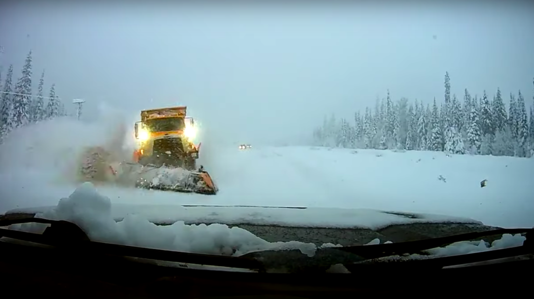 VIDEO: Driver Says Nothing Broken 'other Than Some Teeth' In Head-on ...