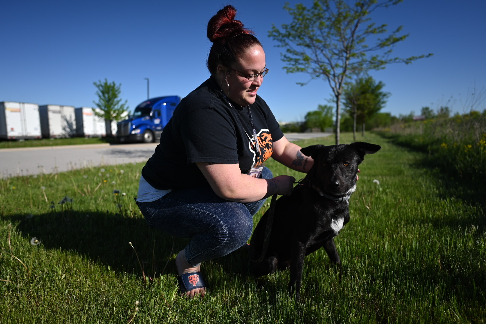 Driver & dog reunite after low-clearance bridge crash startles pup into fleeing the scene