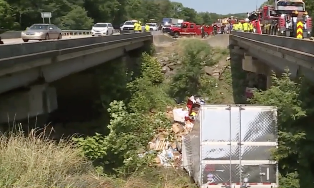 Deceased trucker, dog discovered in roadside ditch hours after serious