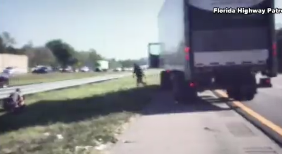 WATCH: Truck driver stops to help Florida state trooper being attacked ...