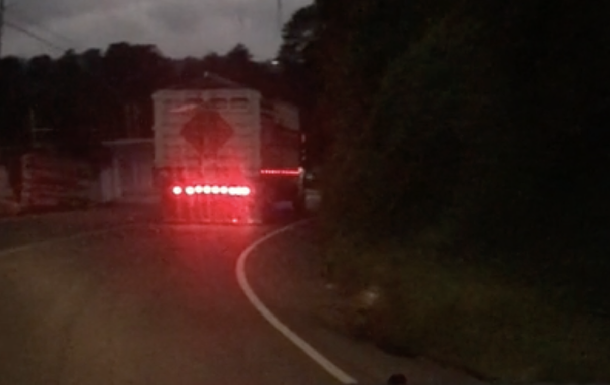 VIDEO Truck driver is flashing his way