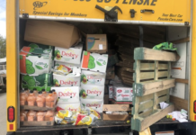 Cops catch overweight box truck loaded with unrefrigerated food, 400 cases of untaxed beer