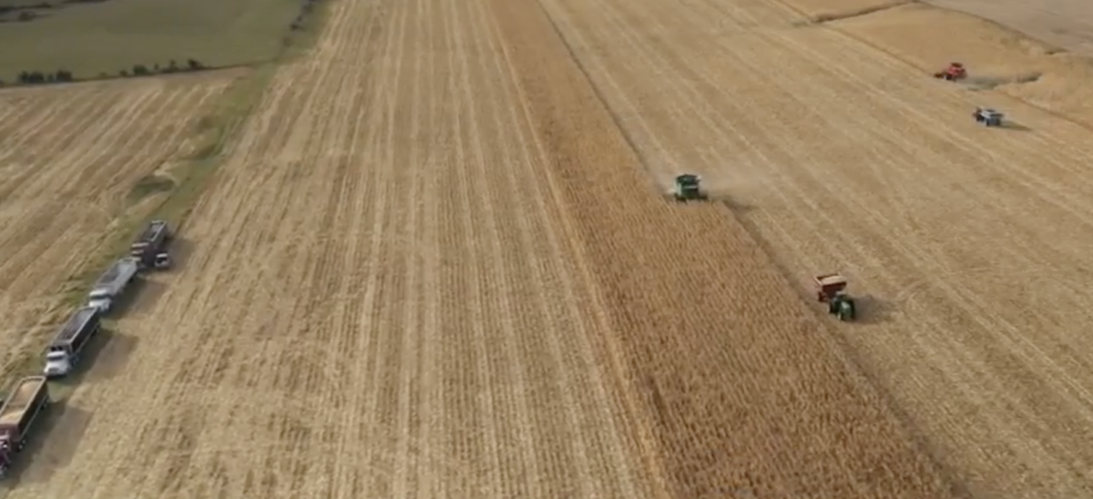 40 semi trucks, dozens of farmers work together to harvest farmer’s fields after unexpected death 