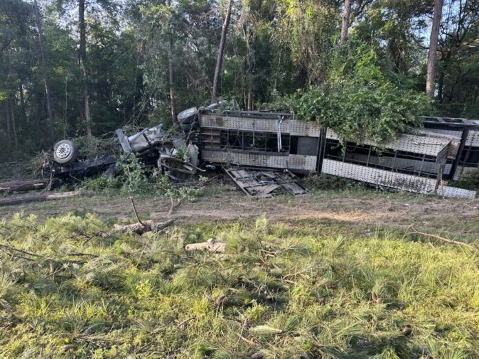 Trucker brothers killed in crash in Mississippi while hauling cars