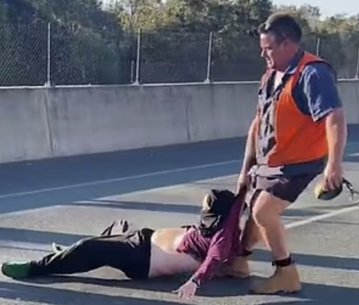 WATCH: Australian trucker yanks climate change activists out of the way 