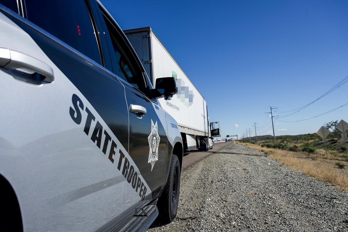 Truck driver carrying legally fired after officer chooses to mention the firearm on inspection paperwork 