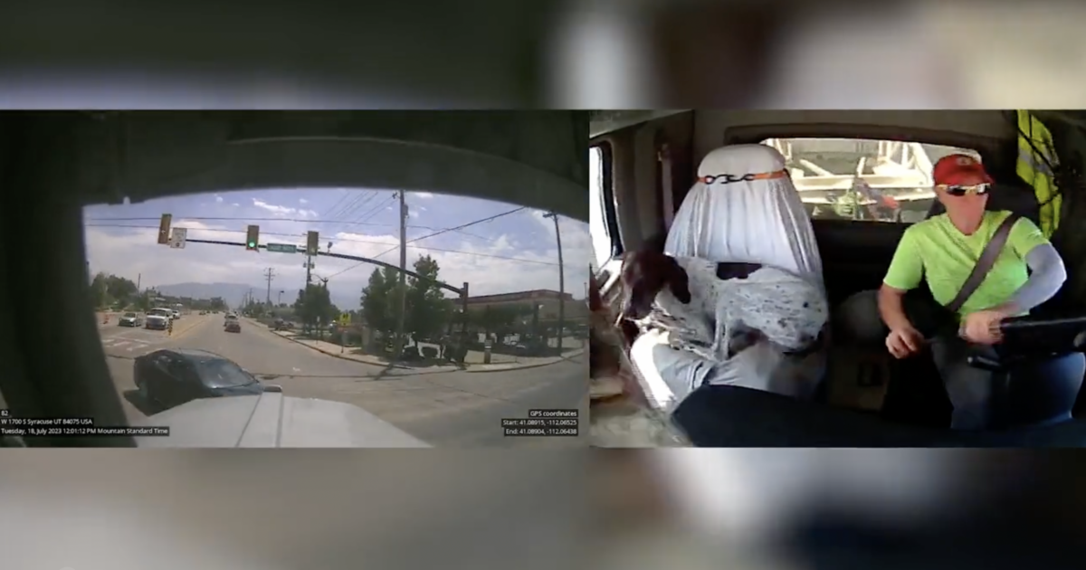 VIDEO: Car turns in front of big rig, causing crash that sends dog flying out of passenger seat