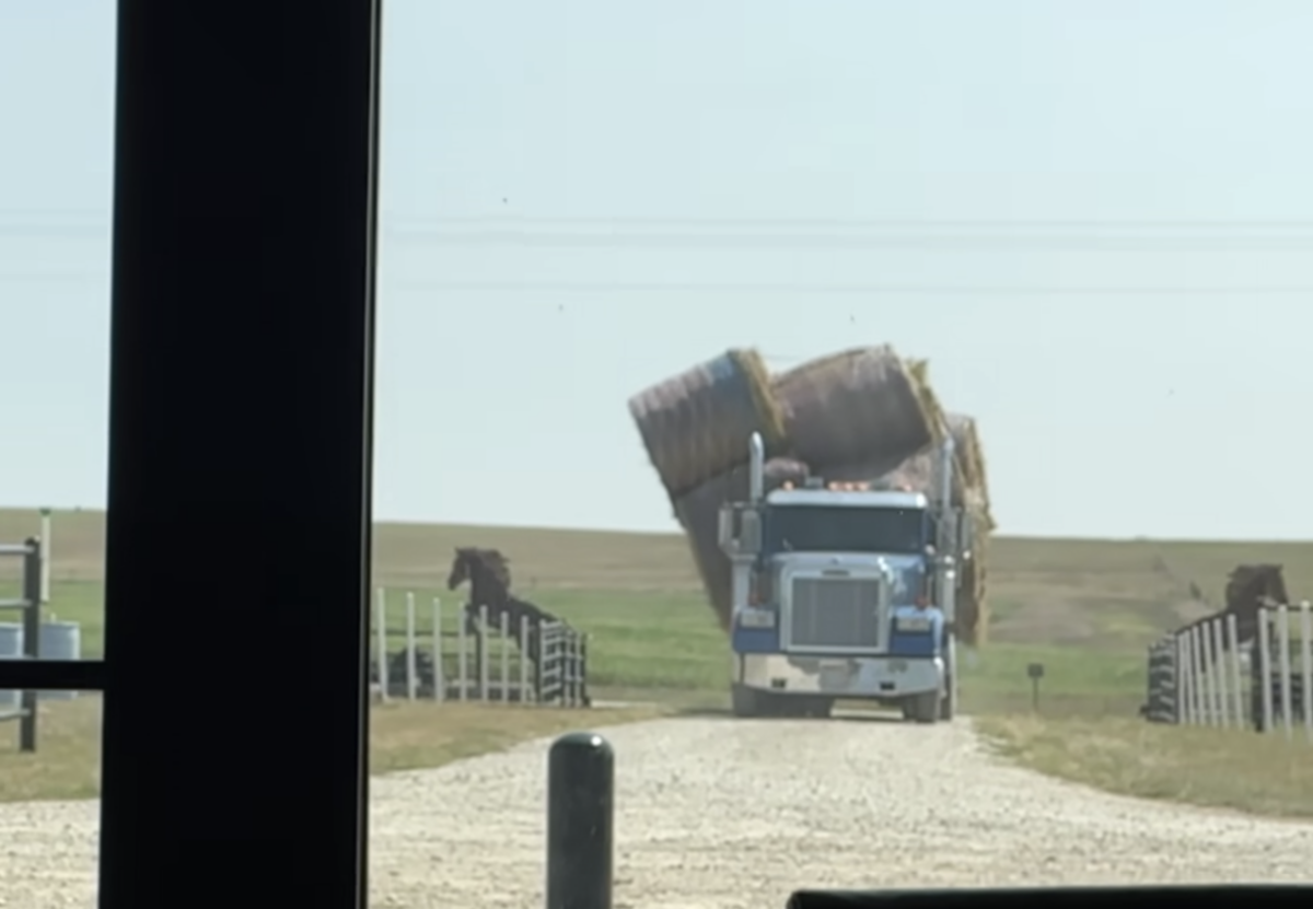 VIDEO: Horse rescue group helps out truck driver with tipping load of hay