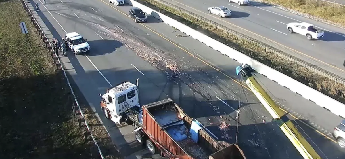 Overturned load of fish smells up Washington highway 