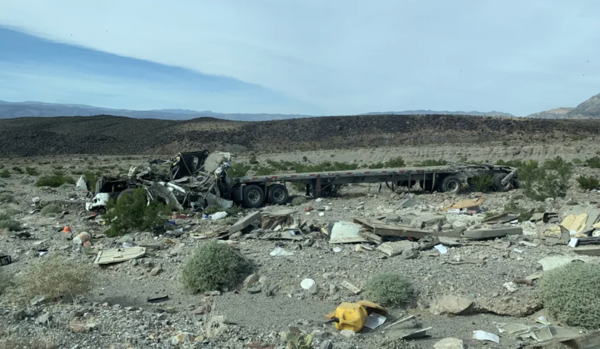 Trucker seriously injured in out of control wreck that left first responders covered in bee stings