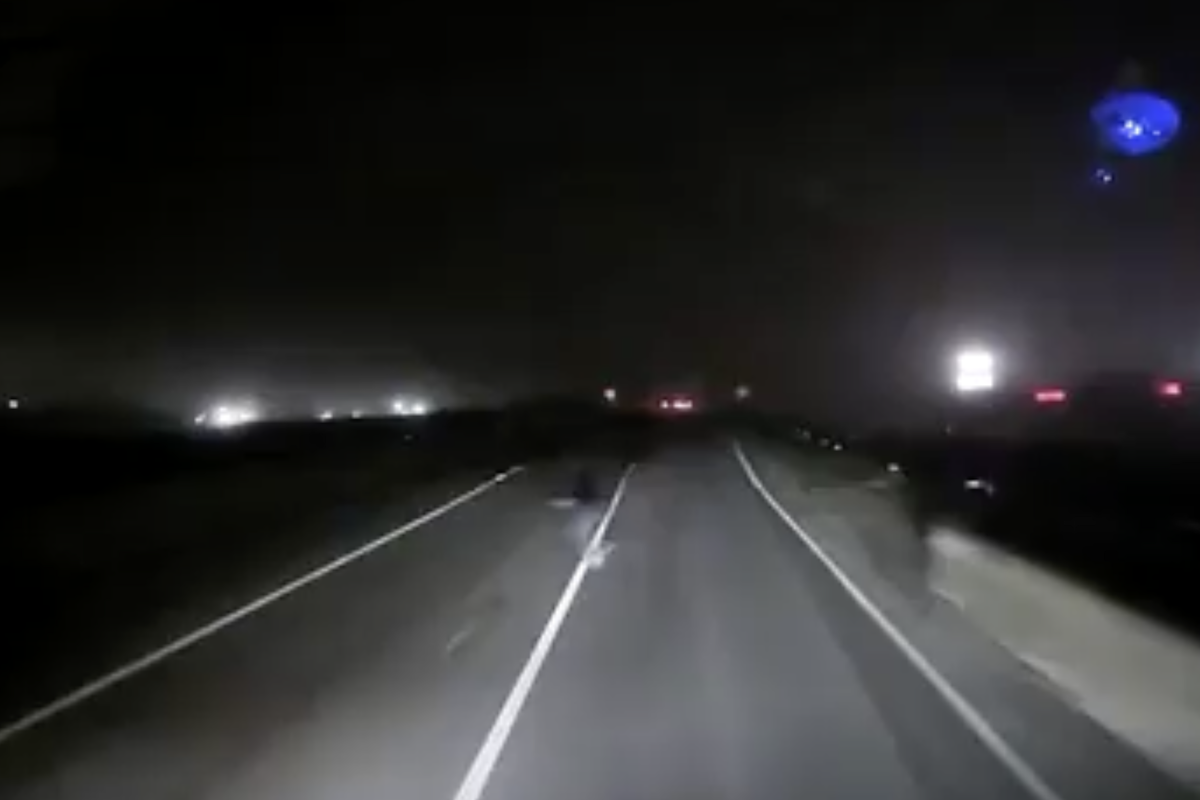 Highway pedestrian creates near-miss with oncoming trucker