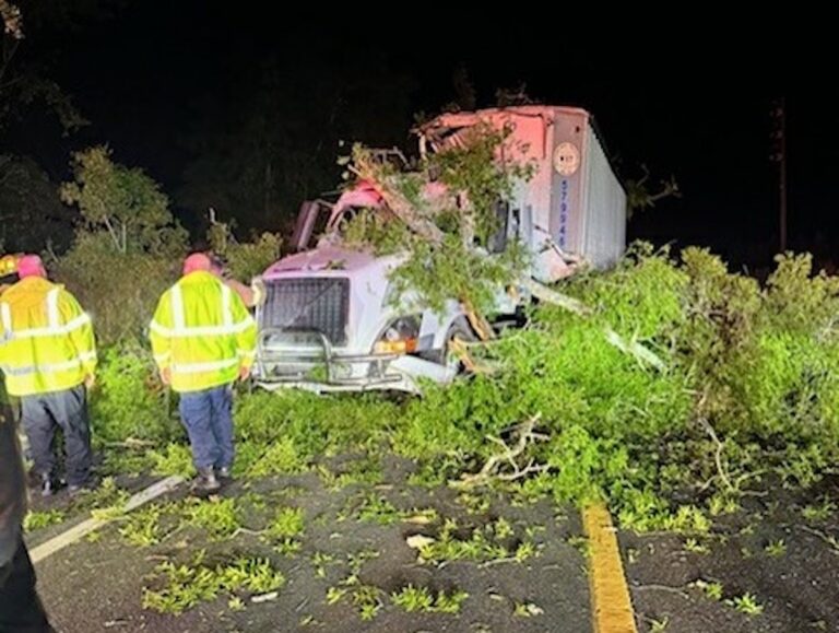 Trucker Trapped By Fallen Tree