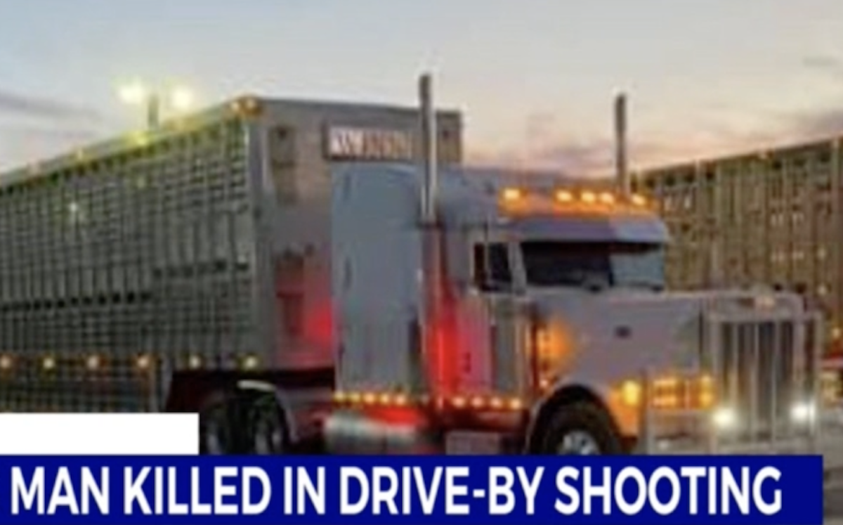 Trucker shot near semi ID’d as cowboy, third generation livestock hauler