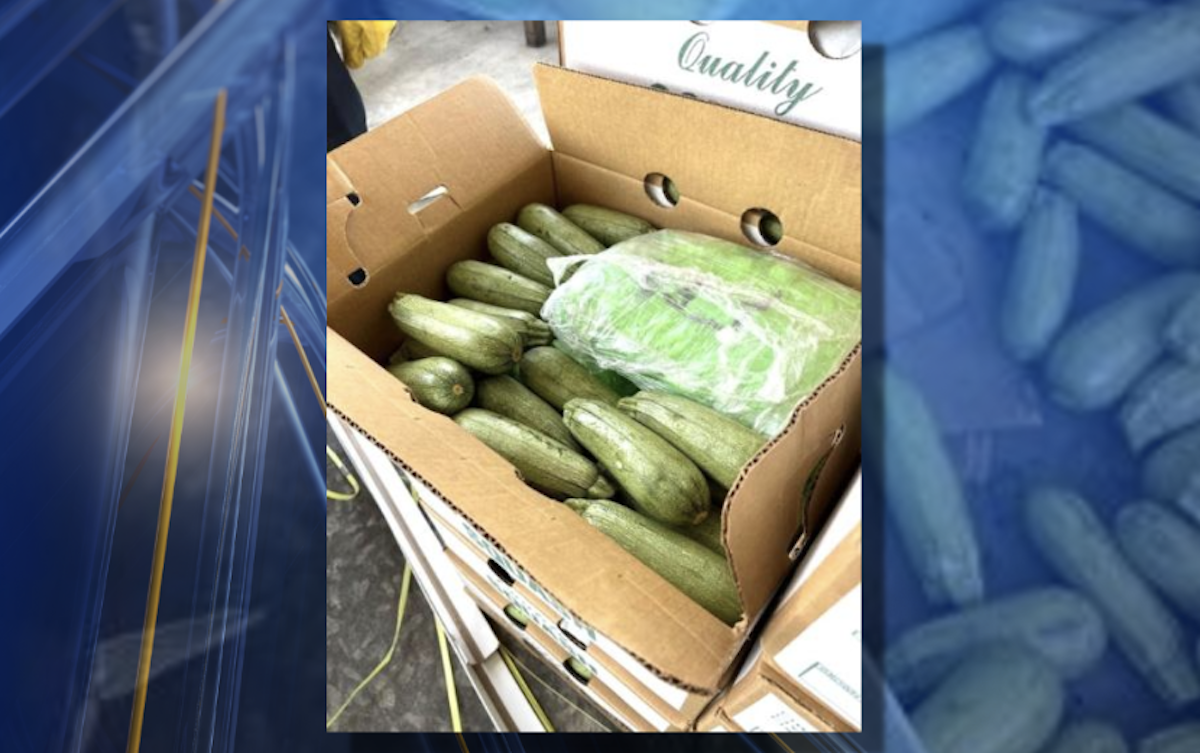 $18M worth of meth found hidden in squash shipment