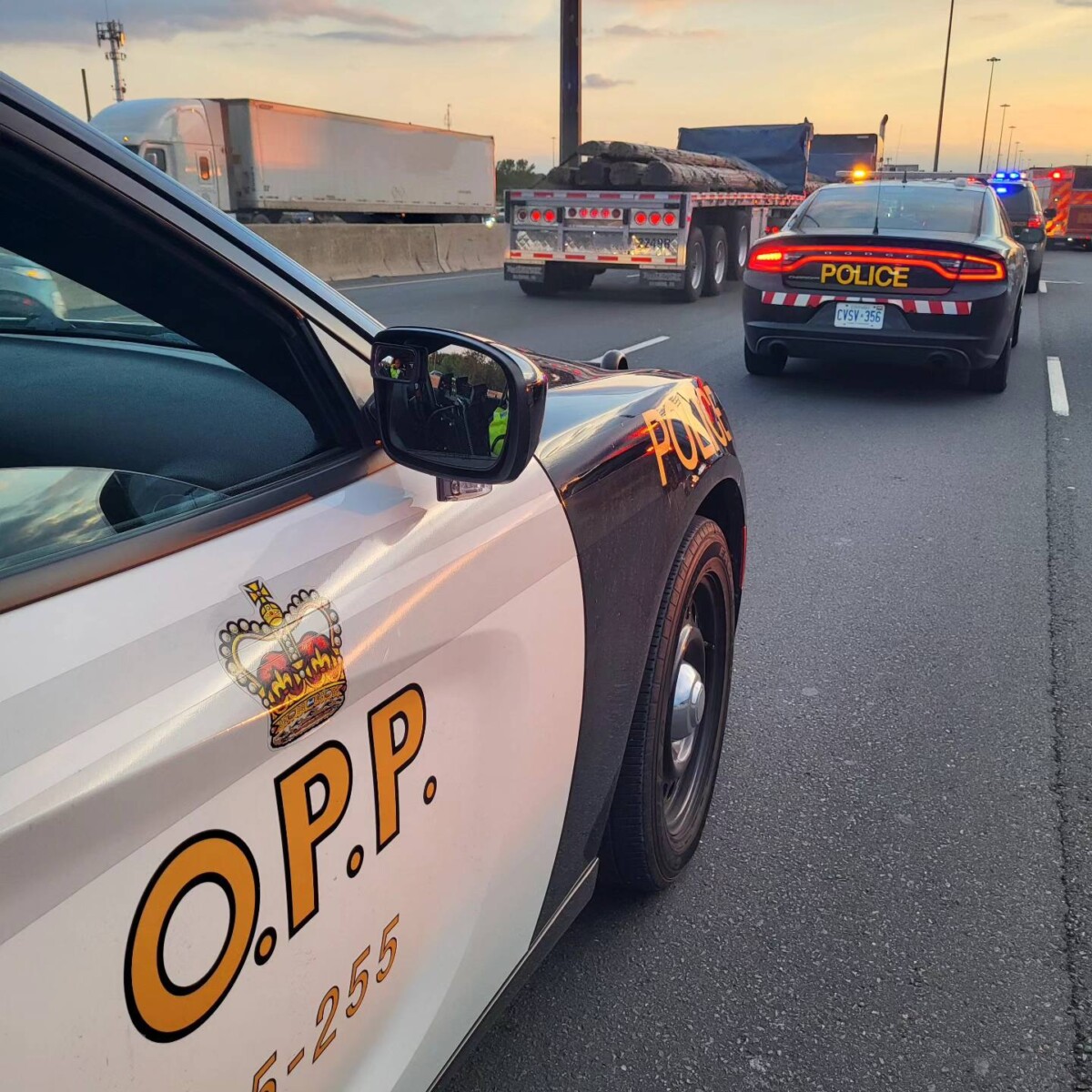 Police blame ‘non-commercial drivers’ in 86% of fatal crashes in Ontario this year