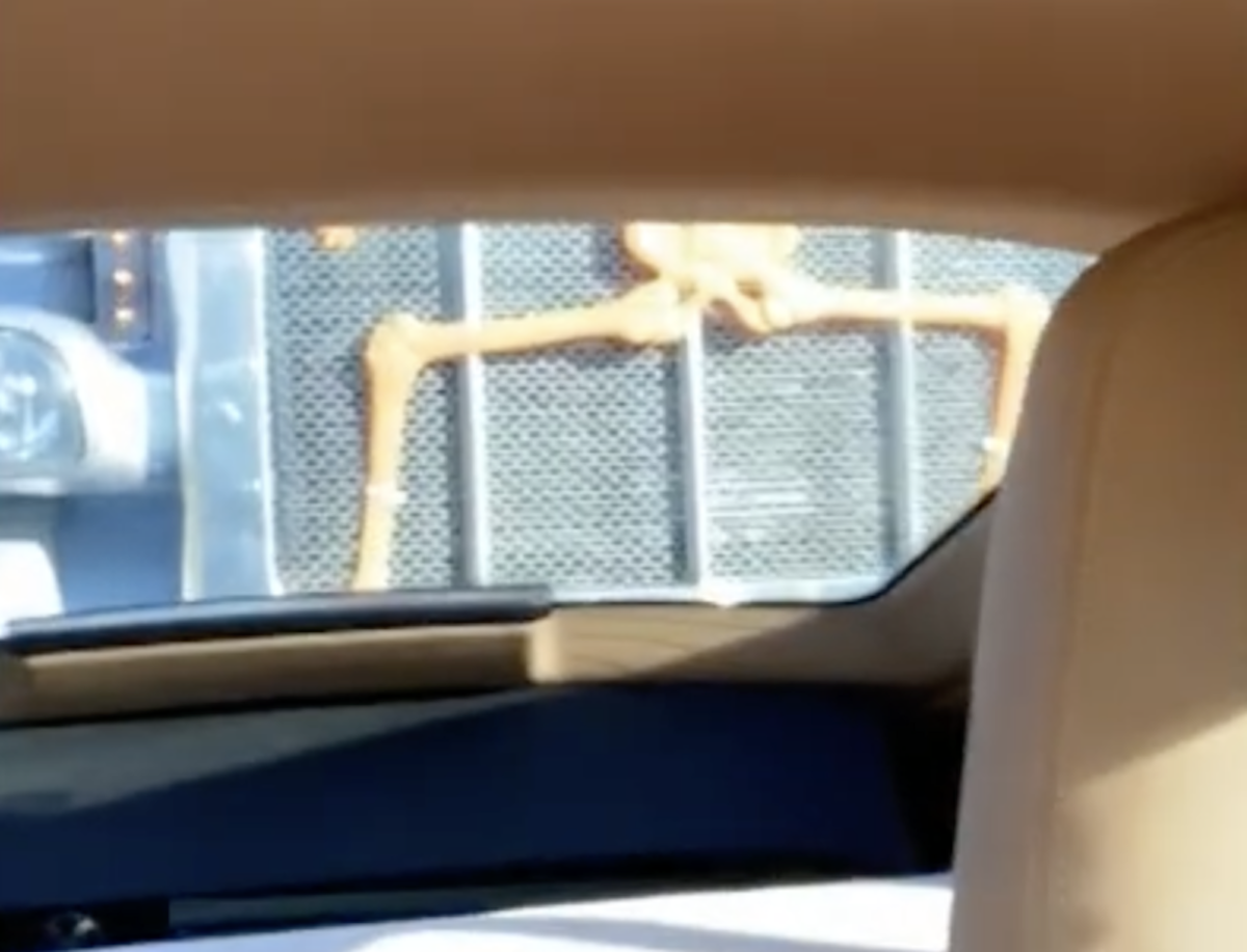 Skeleton-clad semi truck filmed harassing ex-cop in potential road rage