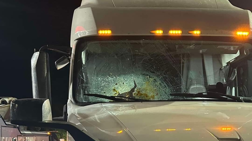 Multiple trucks targeted by pumpkin-thrower on Highways 401 and 402