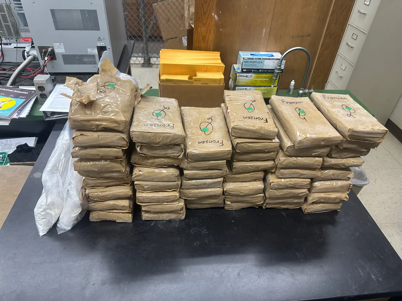 Tip leads Michigan sheriff to 123 pounds of cocaine concealed on tractor trailer