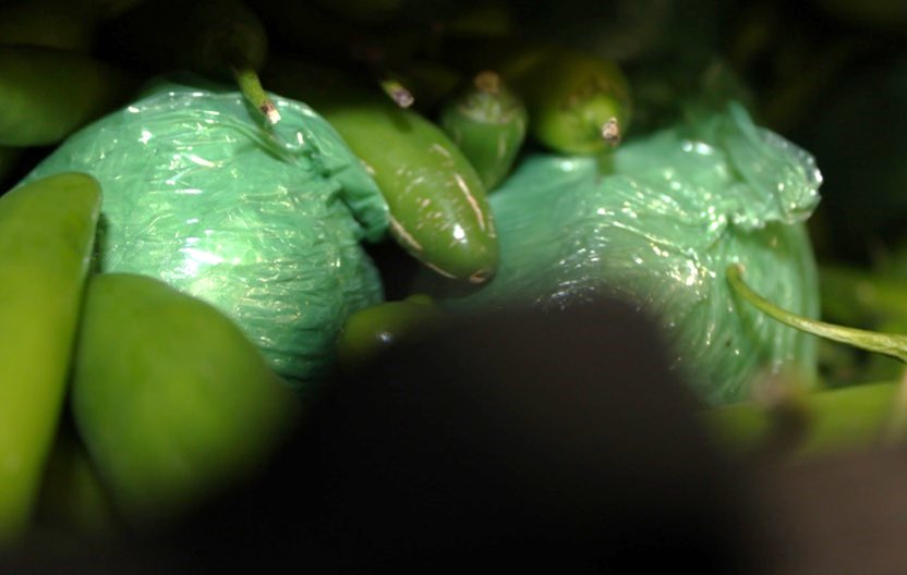 $31 million in meth seized from semi truck hauling serrano peppers