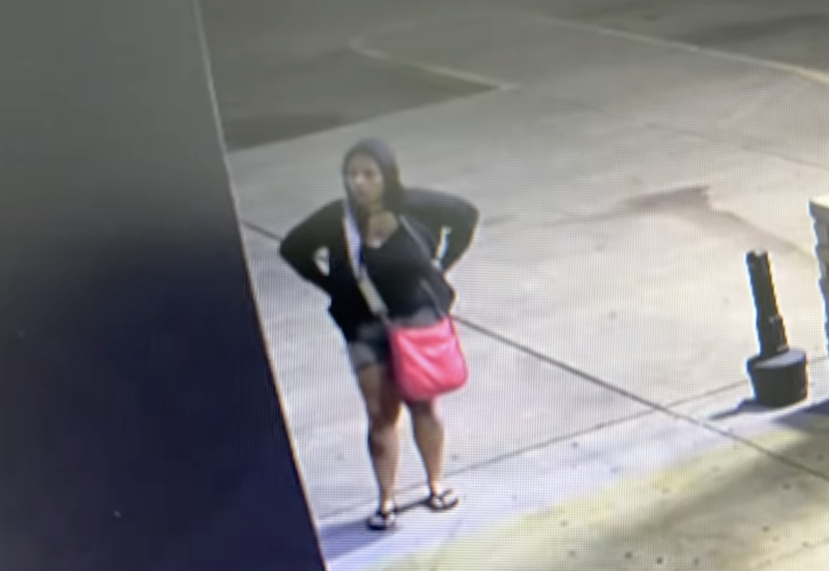 Hot pink bag lady wanted by police for theft of semi truck