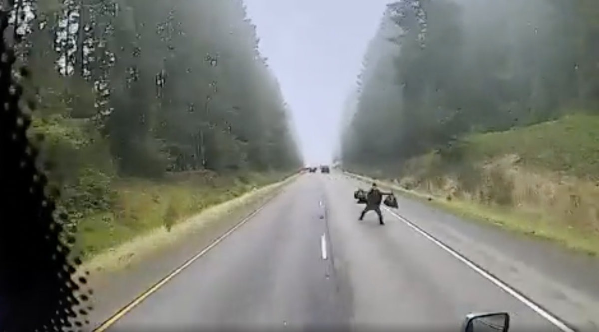 Dash cam shows trucker forced to swerve after man holding bags leaps into his lane