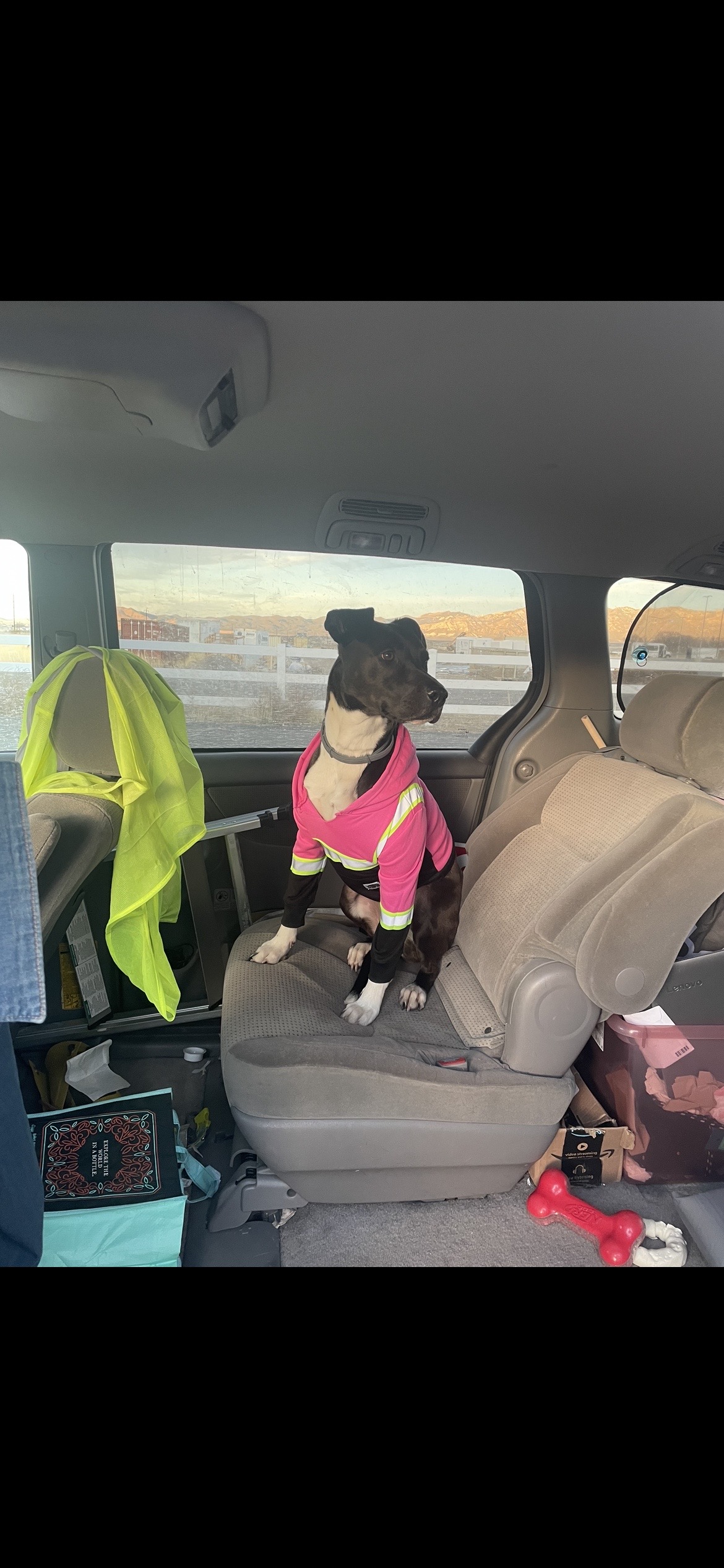 Truckers share co-pilots and spot wildlife OTR on CDLLife App