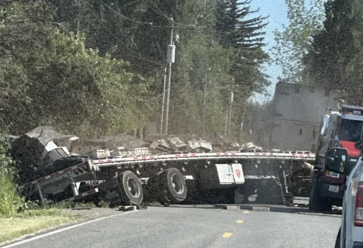 Washington road closed for 250 million bees loose after early morning semi truck wreck