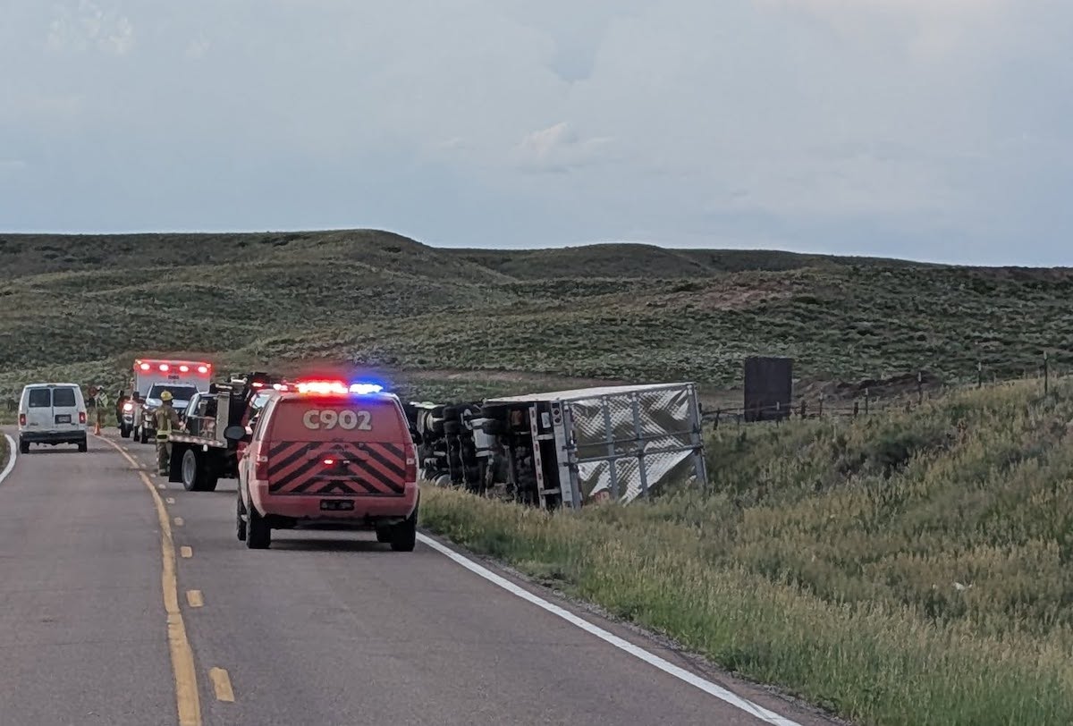Officers pass out frozen hotdogs trashed by company after rollover semi truck crash