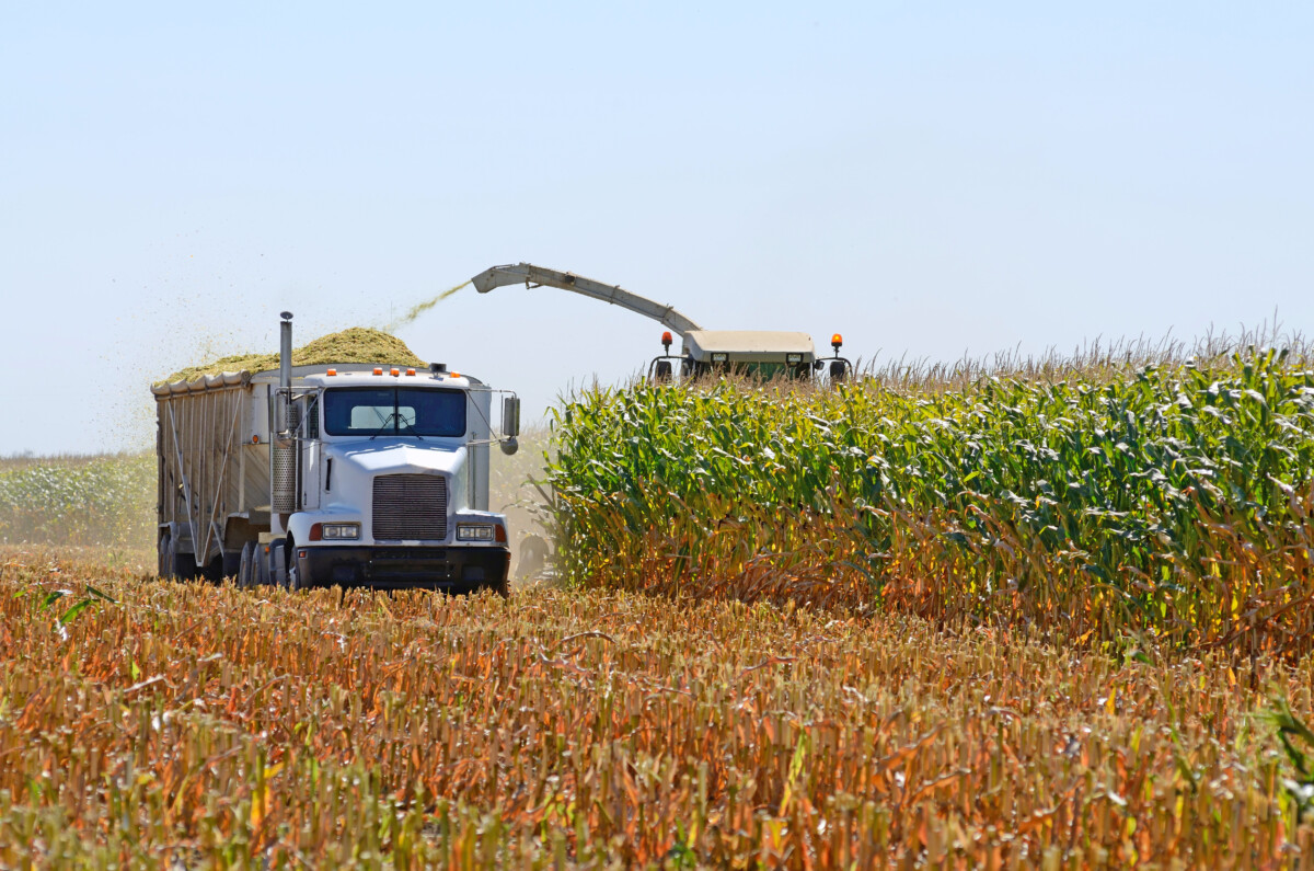 New legislation seeks to cut red tape for seasonal agriculture CDL holders