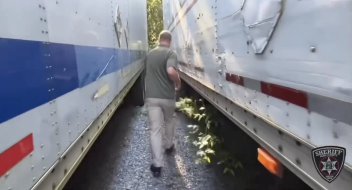 Four charged for stealing semi trailers loaded with televisions and mini-fridges, Georgia sheriff says