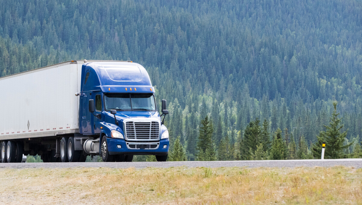 Gov’t shuts down five trucking schools and thirteen trucking companies to improve safety on Canadian roads