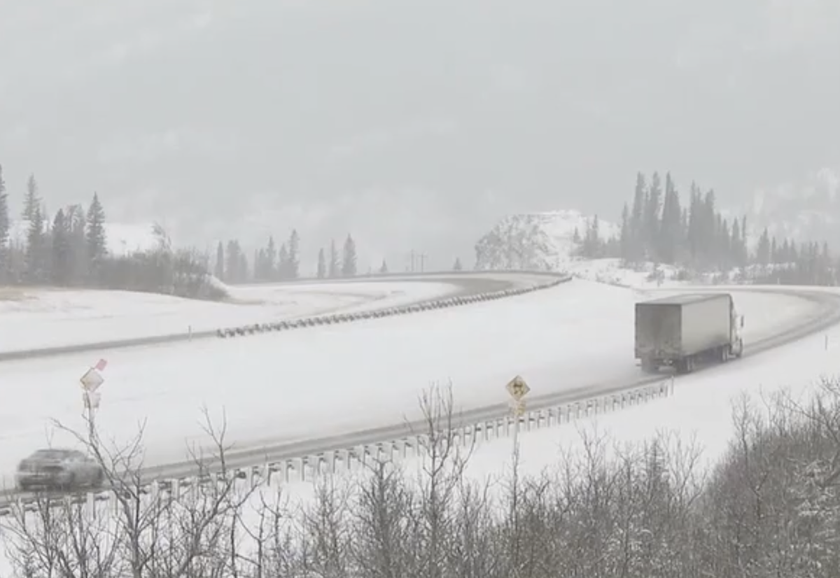 136 traffic cameras to be removed or replaced along Colorado roadways as winter approaches