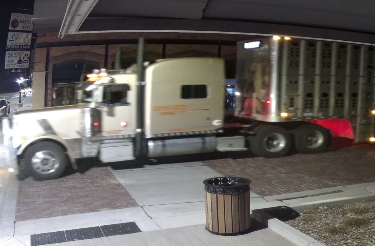 Dodge City Police seeking bull hauler responsible for thousands in damages