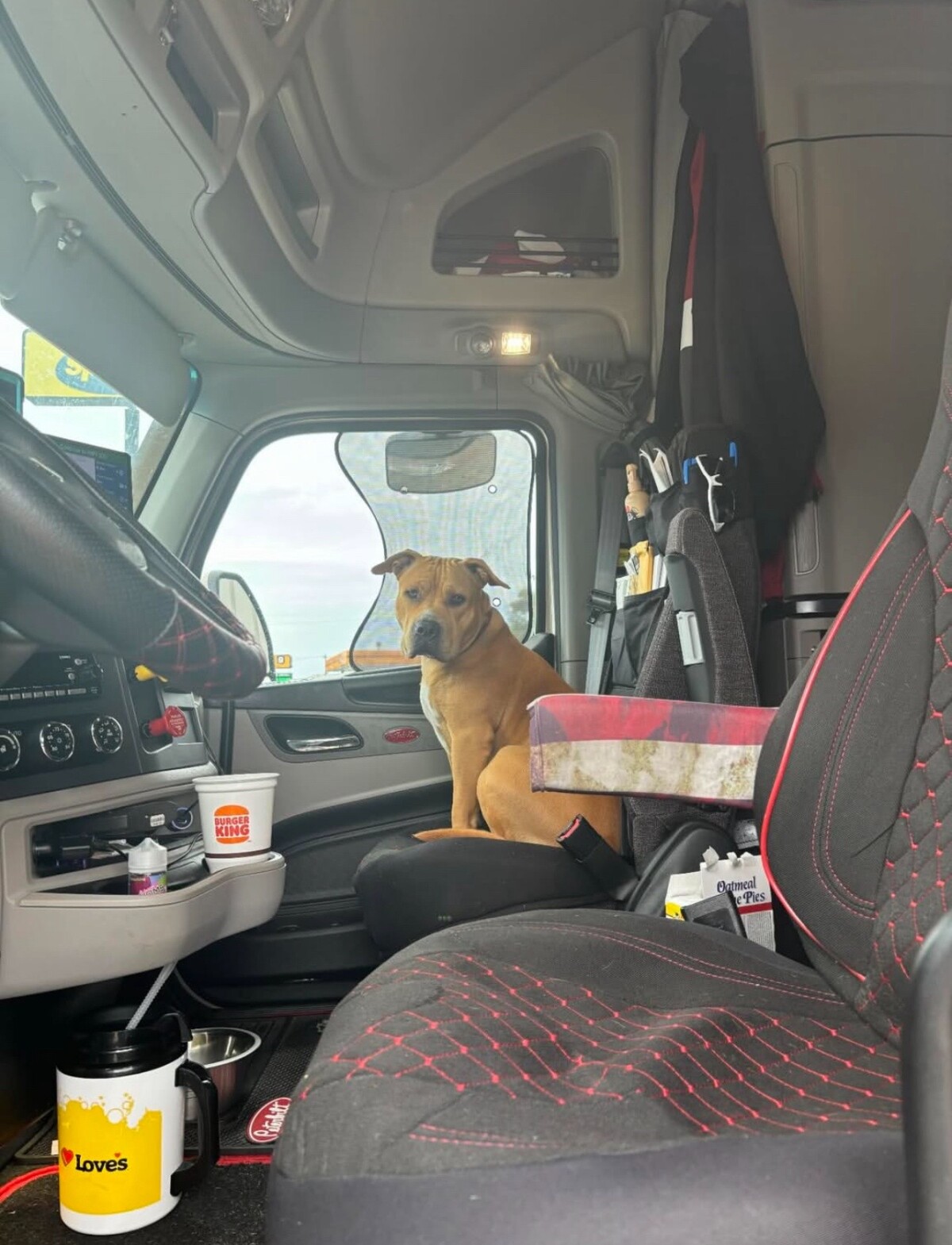 CDLLife App: Truckin’ All the Way to SSWL