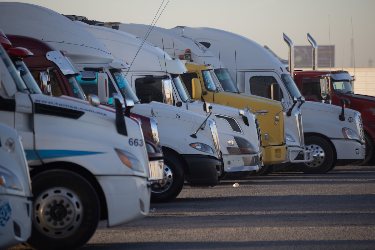 Driver arrested after people found hiding behind load of rotting papayas