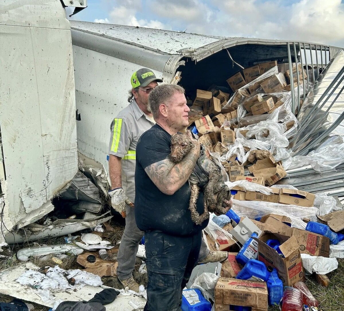Texas firefighters find and rescue trucker’s dog from ‘void space’ in wrecked semi truck