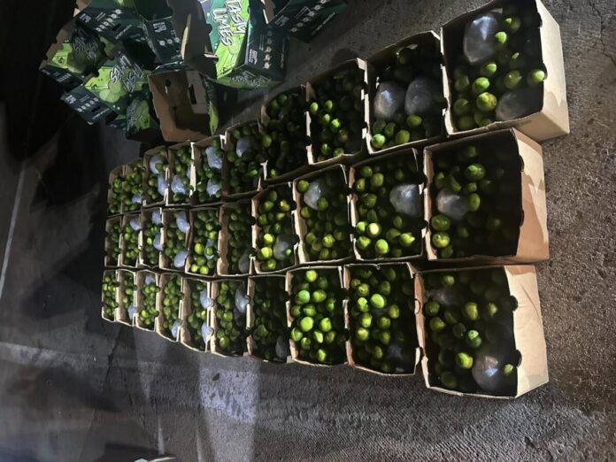 8th South Drug Task Force