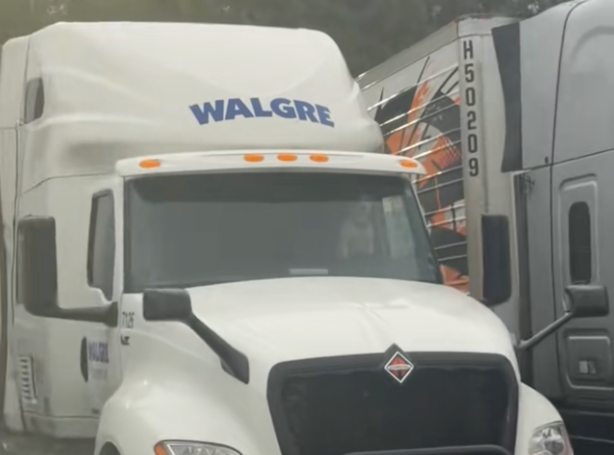 Watch this trucker’s dog blast the truck horn when he takes too long in the shower