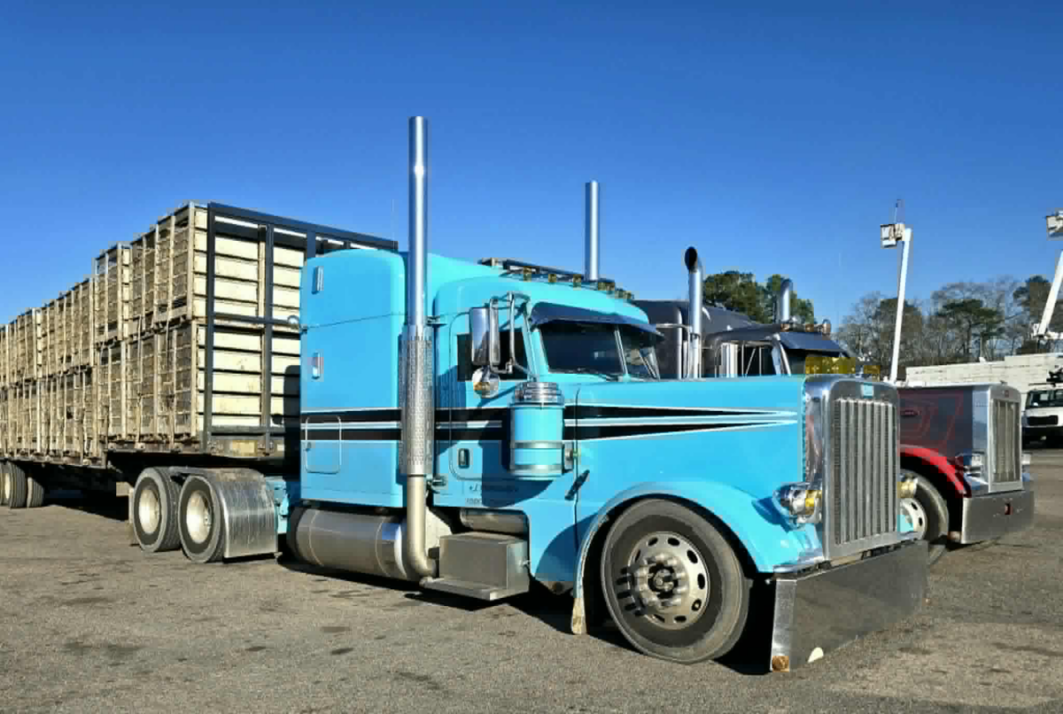 The Grit Behind a Golden Ticket