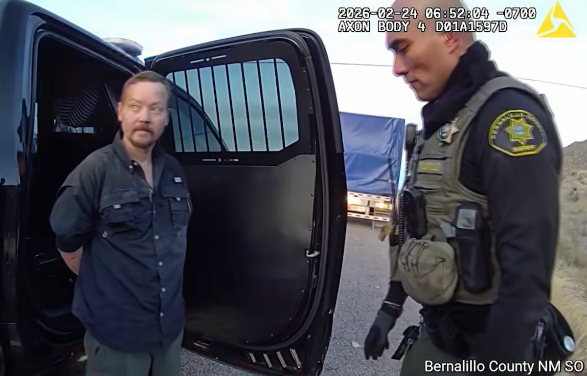 Driver tells police he is suffering from mental illness after weaving through traffic, blasting music, & resisting arrest in body cam footage