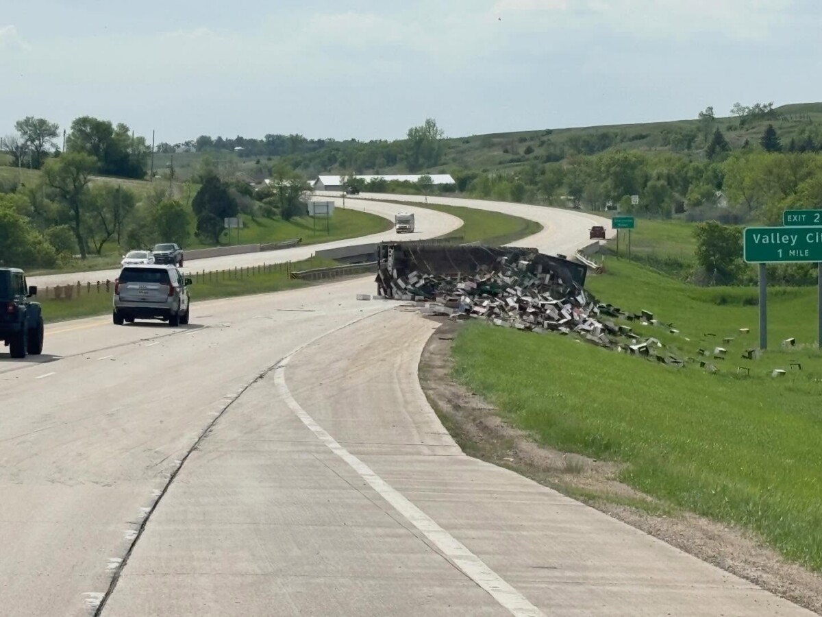 Trucker hauling bees stung hundreds of times after crash caused by teen’s improper lane change, North Dakota troopers say