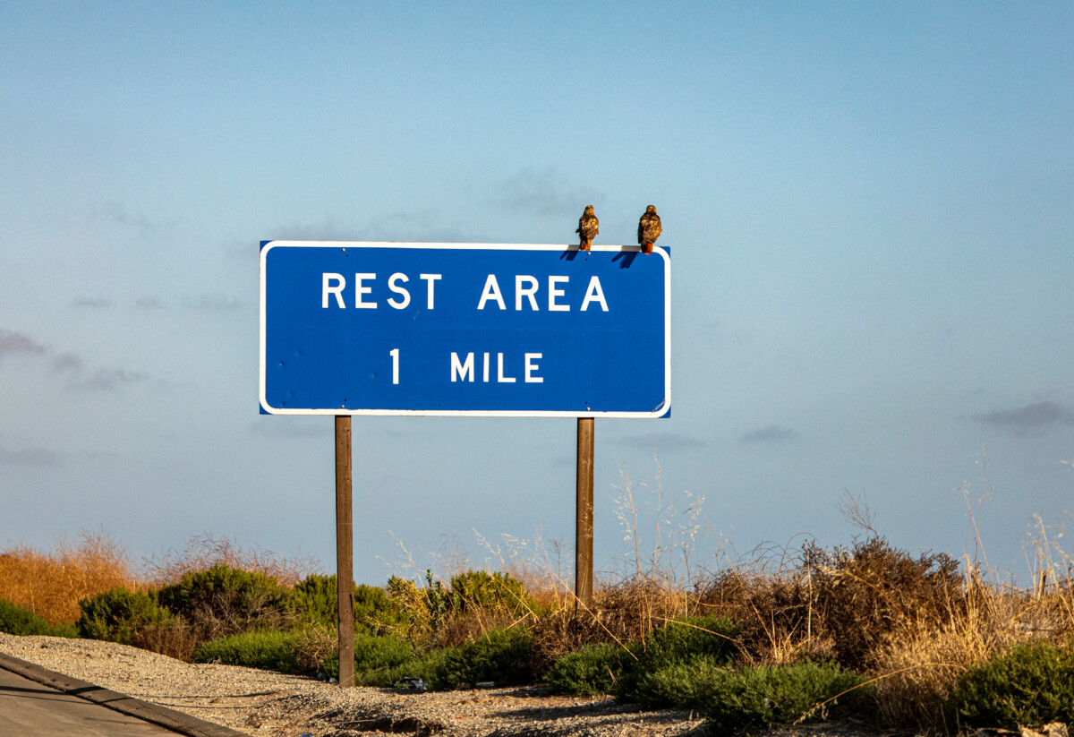 Caltrans shuts down I-5 Tejon Pass rest areas until 2027