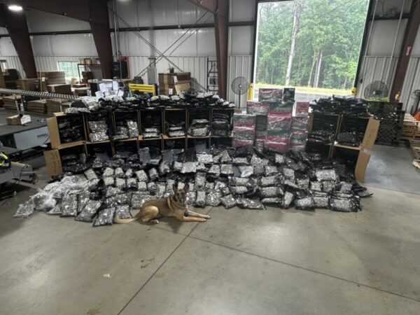 Georgia troopers seize 1,800 pounds of marijuana and 4,000 THC cartridges from semi truck on I-20 Georgia troopers seize 1,800 pounds of marijuana and 4,000 THC cartridges from semi truck on I-20