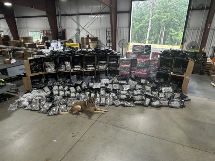 Georgia DPS image of seized marijuana products