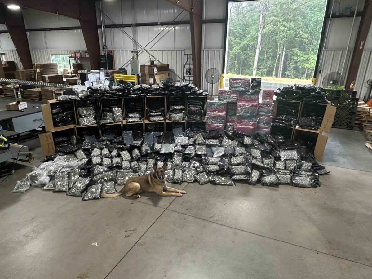 Georgia troopers seize 1,800 pounds of marijuana and 4,000 THC cartridges from semi truck on I-20