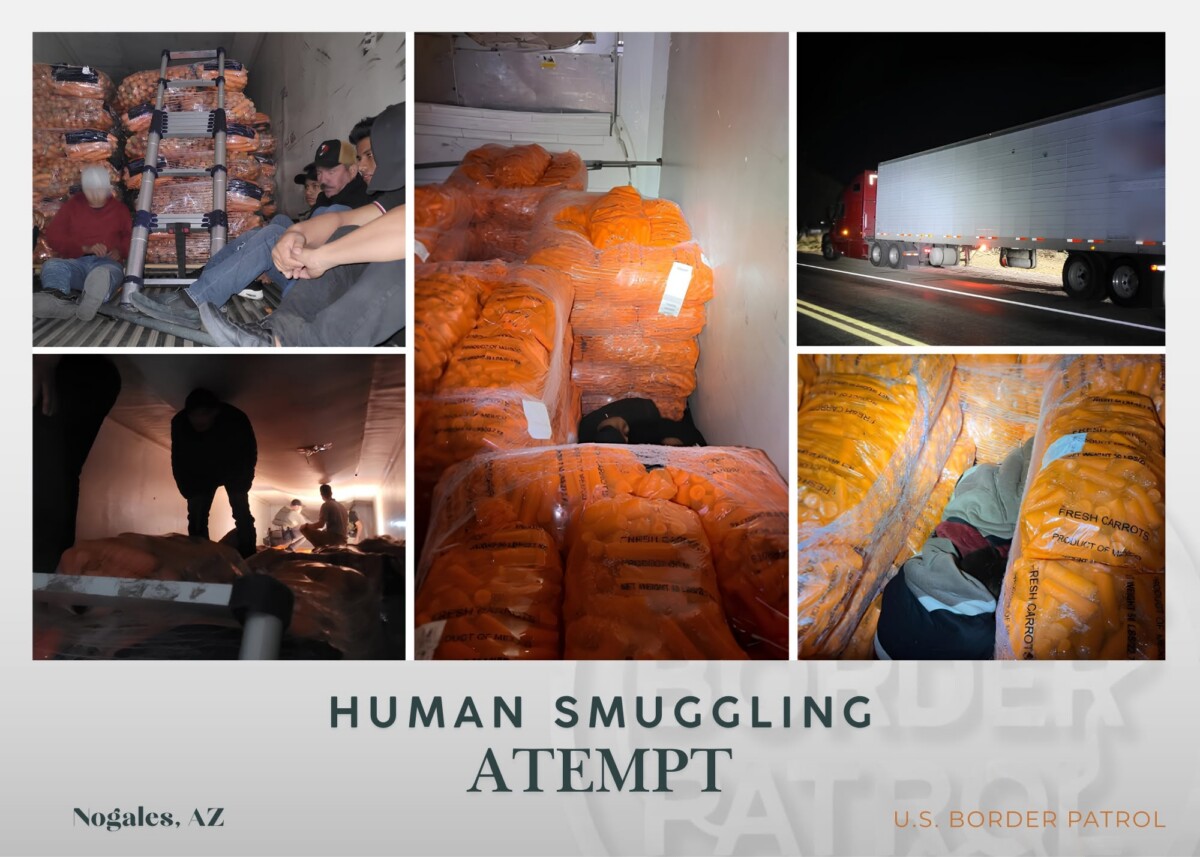 Mexican truck driver hauling 11 people in load of carrots charged for cabotage violations, human smuggling